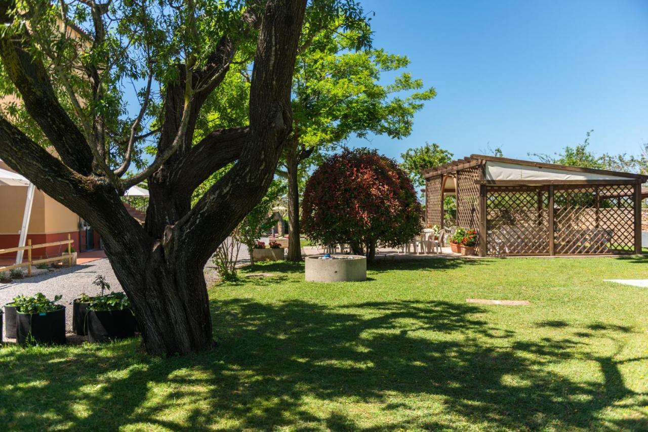 Agriturismo Le Vecchie Scuole Кампилия Маритима Екстериор снимка