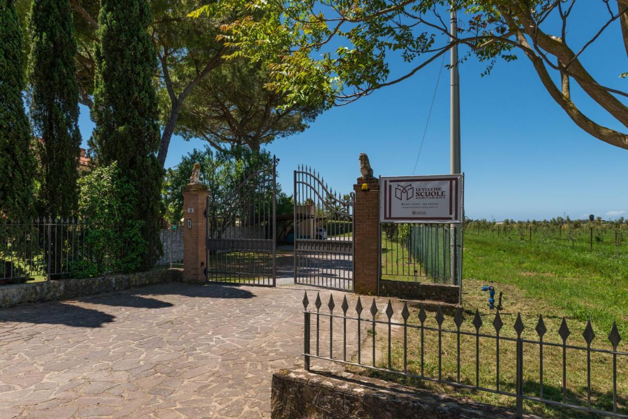 Agriturismo Le Vecchie Scuole Кампилия Маритима Екстериор снимка